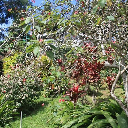 Gingerbread Cottage&Studio Fiji Savusavu Buitenkant foto