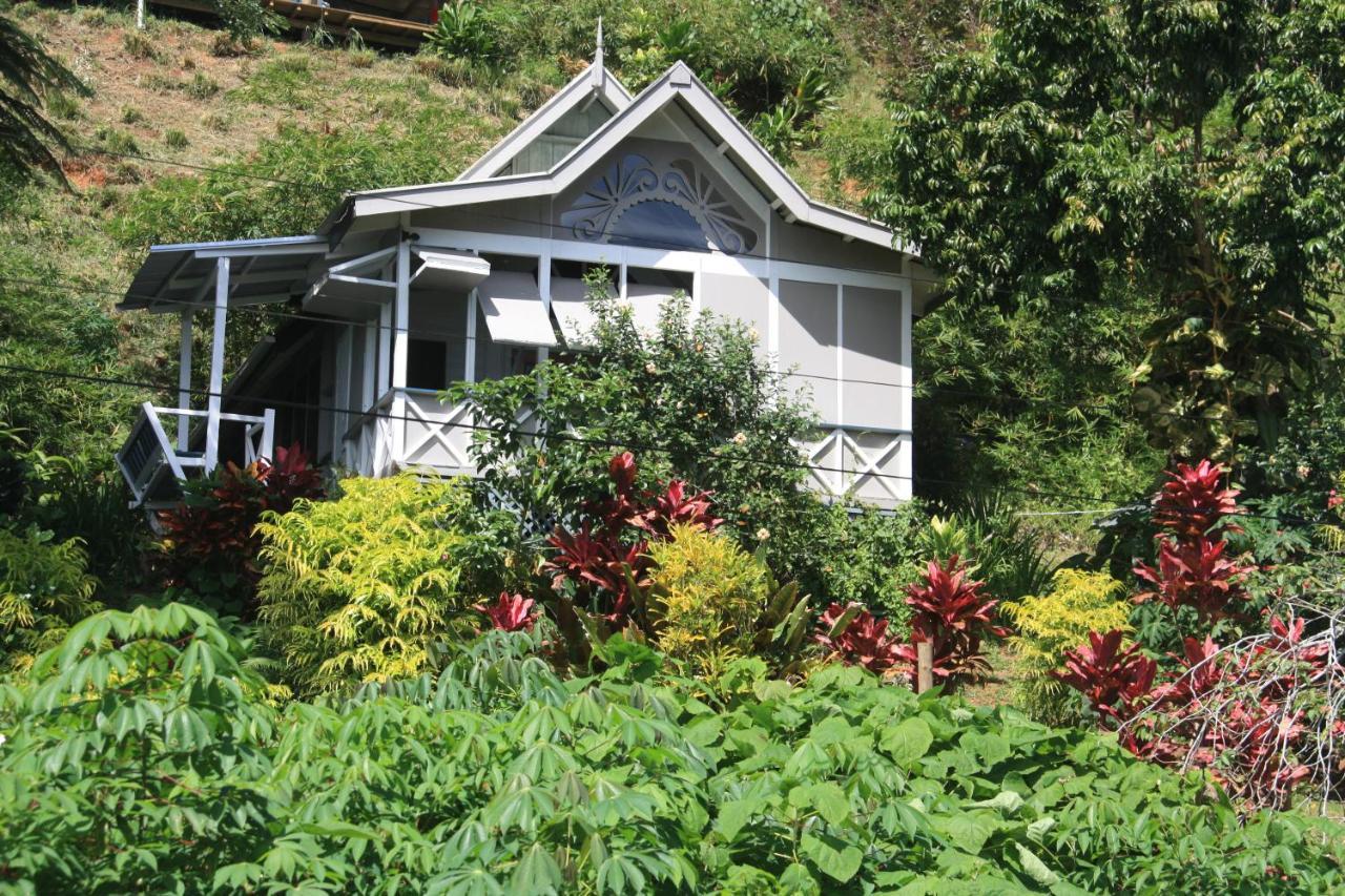 Gingerbread Cottage&Studio Fiji Savusavu Buitenkant foto