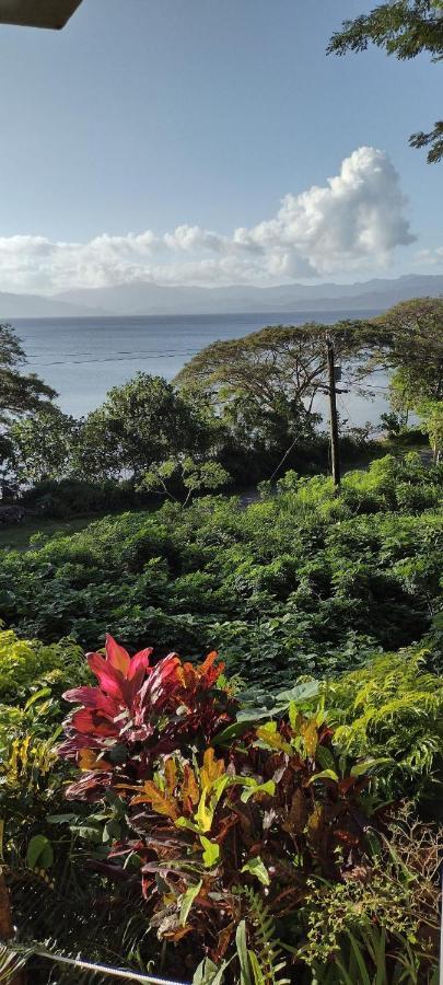 Gingerbread Cottage&Studio Fiji Savusavu Buitenkant foto